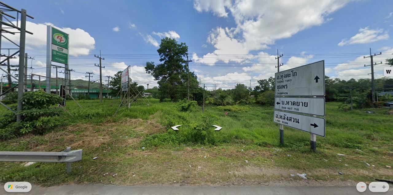 [ขายที่ดิน] ใกล้โครงการแลนด์บริดจ์ อ.หลังสวน จ.ชุมพร รูปย่อยที่ 4