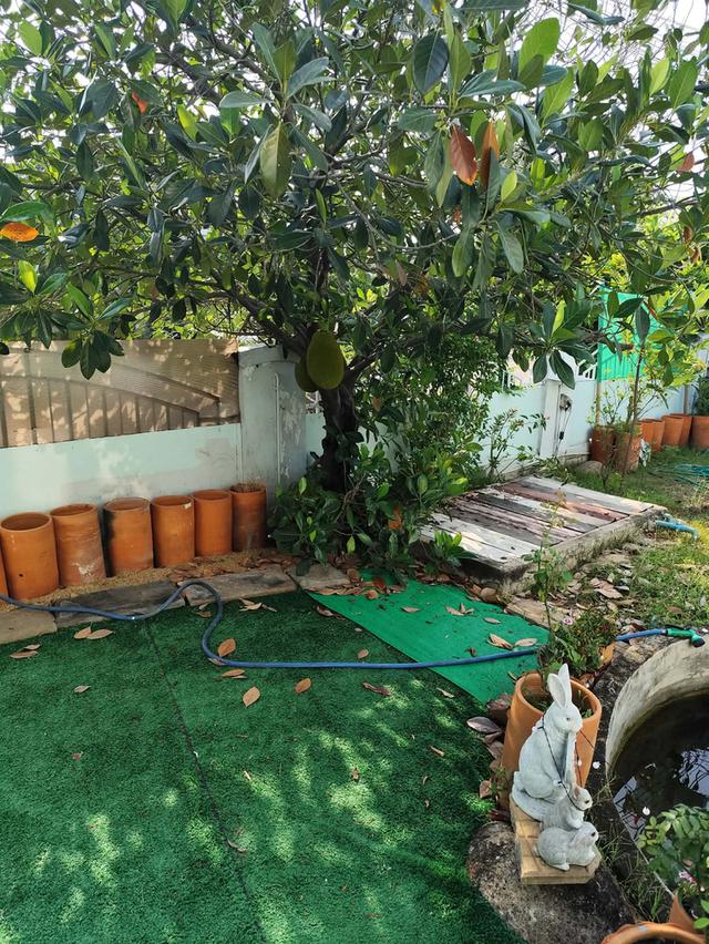 ขาย บ้านเดี่ยว (หลังริม)ทำเลเยี่ยม โครงการติดถนนใหญ่ รัตนาธิเบศร์...ติดสถานีรถไฟฟ้า ขนาดไม่เกิน 100 ตร.วา 17