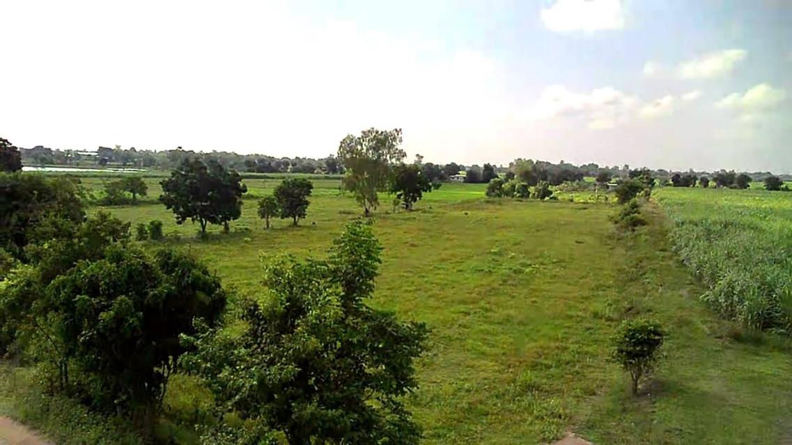 ขายที่ดินเปล่า ทำเลดี ติดถนนปูน ไฟฟ้าถึง จังหวัดสุพรรณบุรี 2