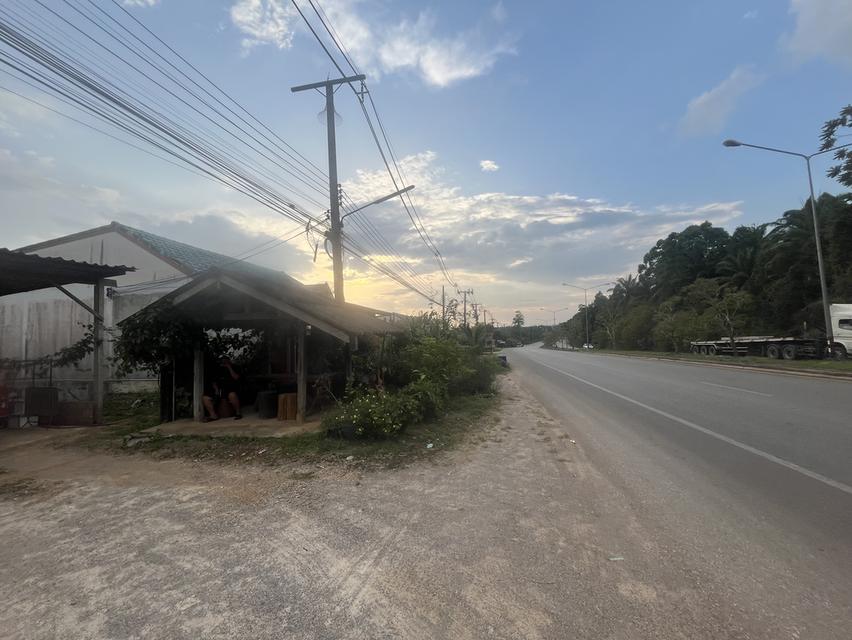 ขายที่ดิน 4 ห้อง land 4