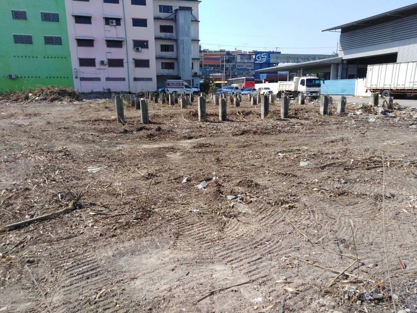 ขายที่ดินสวยสร้างบ้าน 2