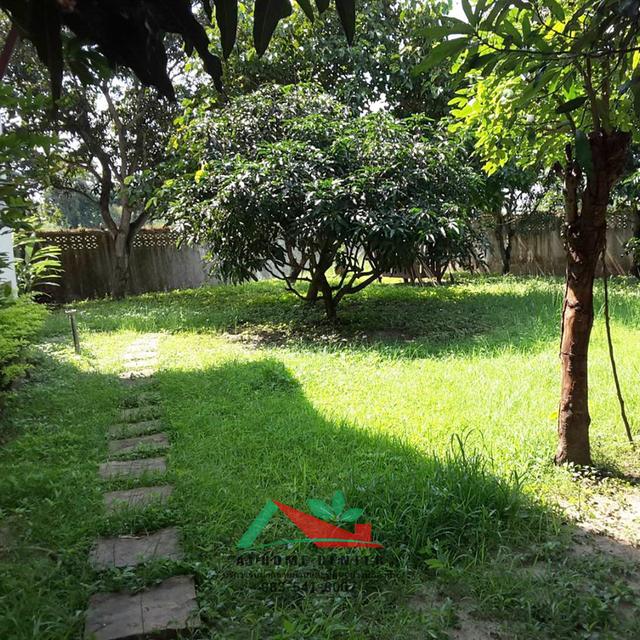 ขายบ้านทรงไทยประยุกต์ริมน้ำ ขนาด1-0-42ไร่ ซ.หอมเกร็ด18 สามพราน ใกล้ตลาดดอนหวาย 15