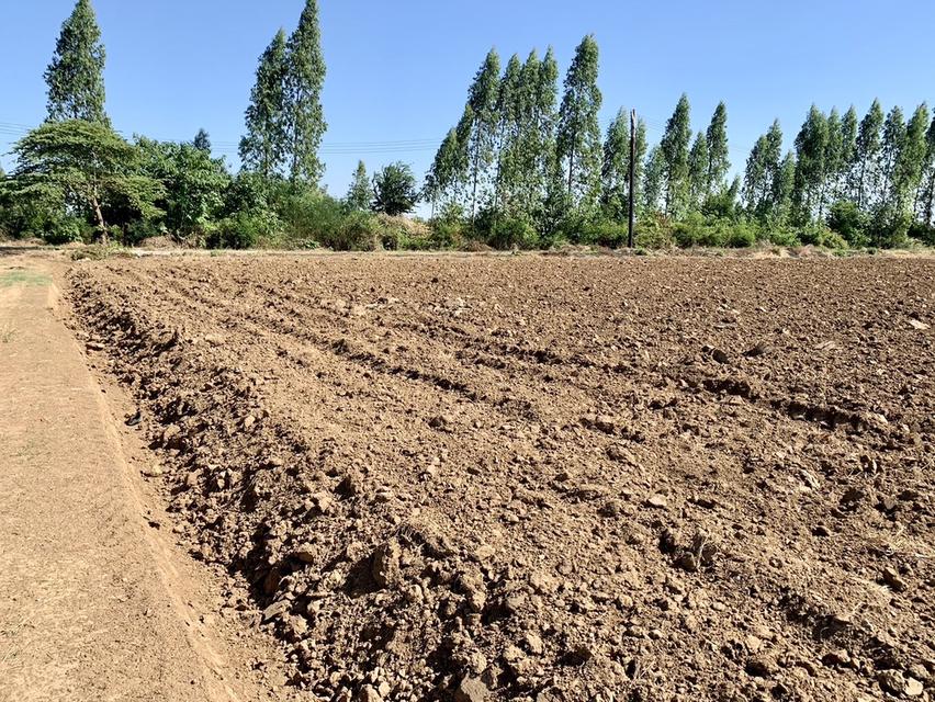 ขายที่ดินสวย2แปลง เนื้อที่รวม26ไร่เศษ สภาพแวดลัอมดี เหมาะลงทุน,ทำเกษตร,จัดสรรหรืออื่นๆ คมนาคมสะดวก 14