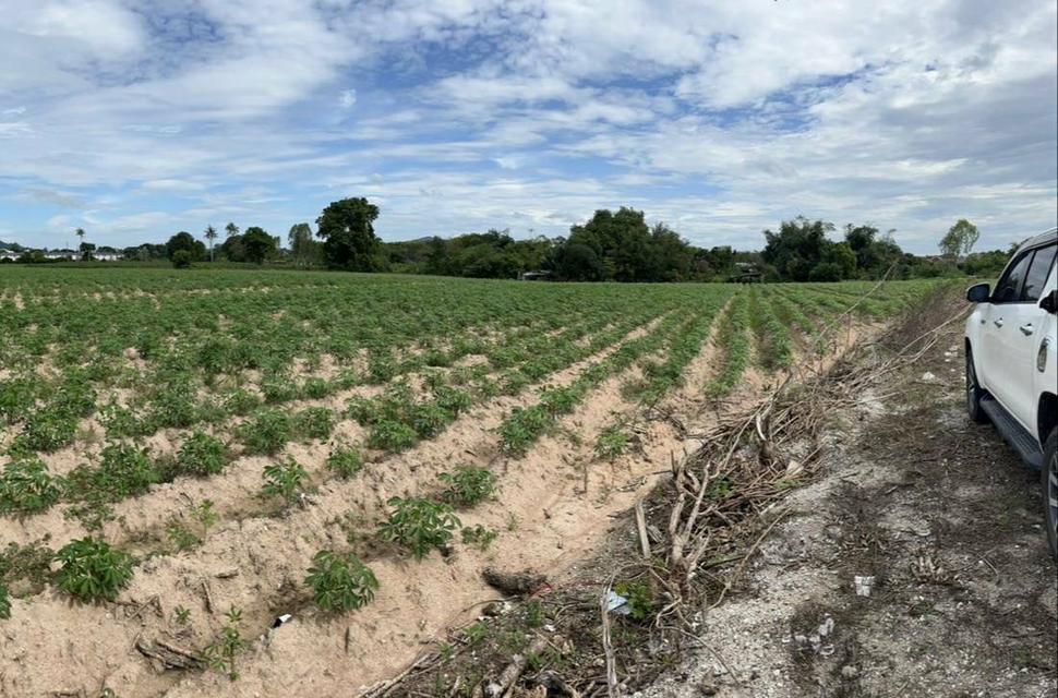 ที่ดิน สวยๆเขตบ้านฉาง อู่ตะเภา 2