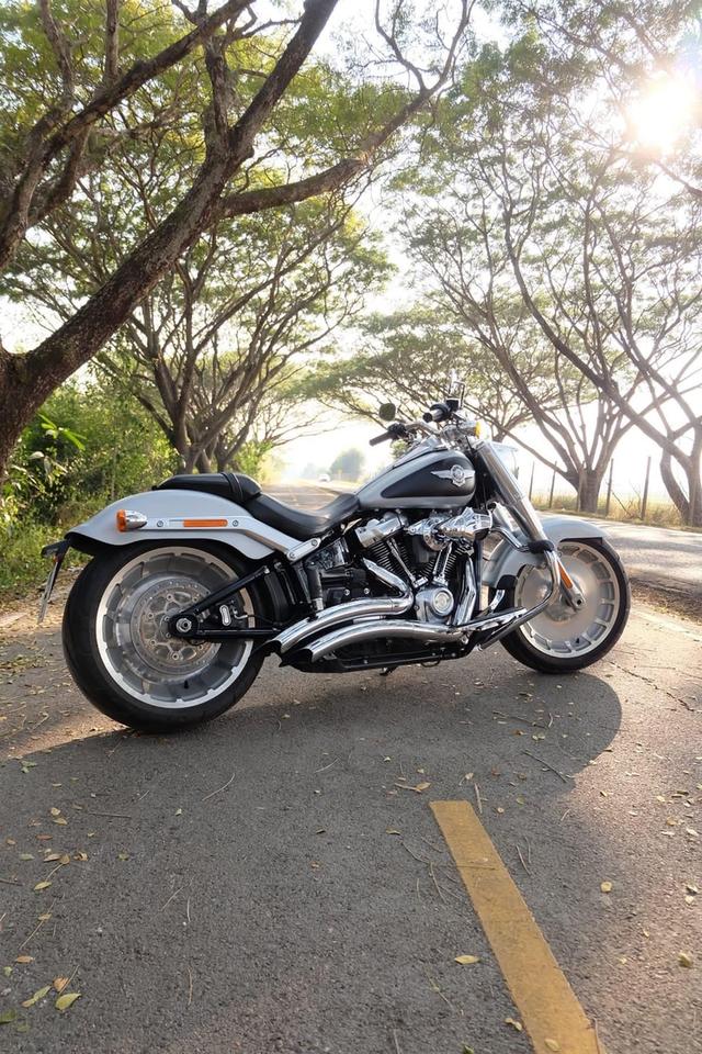 ปล่อยรถ Harley Davidson Fat Boy ปี 2019 3