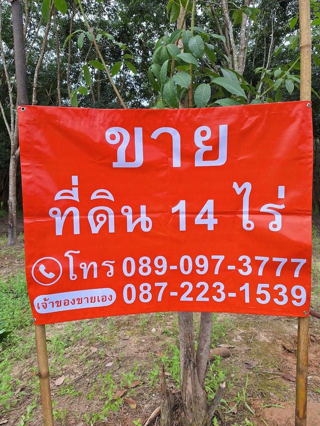ขายที่ดินติดสะพานขาเข้ามิตรภาพไทย-ลาว 2