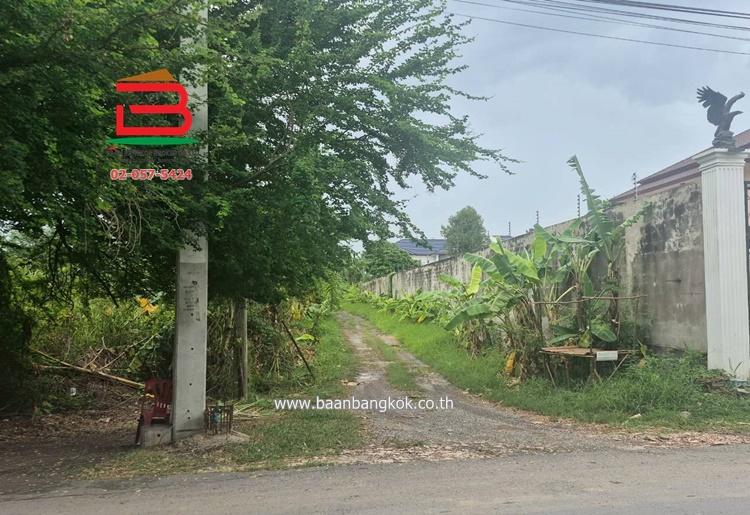 ขาย/เช่า บ้านเดี่ยว ถนนทางหลวงชนบทนนทบุรี 3087 เนื้อที่ 48 ตรว. ตำบลบางคูวัด อำเภอบางบัวทอง จังหวัดนนทบุรี 3