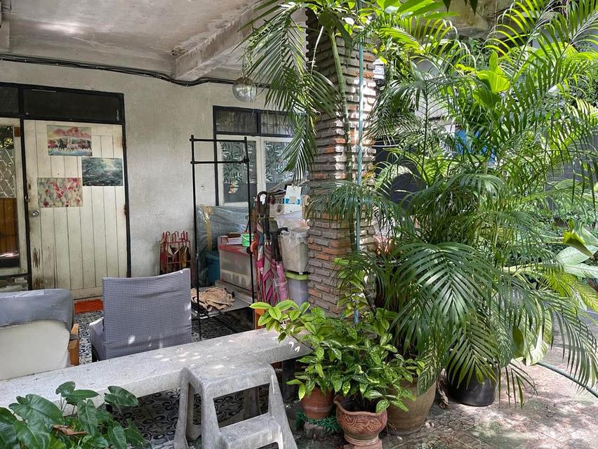 บ้านเดี่ยวทำเลดีมากๆ พระรามเก้าซอย 13 เนื้อที่ 50 ตารางวา เดินทางสะดวกเข้าออกได้จากถนนพระราม9 รัชดาภิเษก ใกล้รถไฟฟ้าศูนย์วัฒนธรรม เซ็นทรัลพระราม9 4