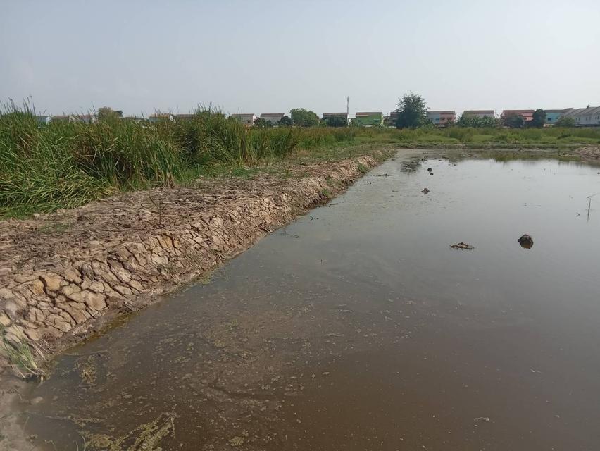 ขายที่ดินเปล่า 2 ไร่ ติดถนนคอนกรีต ซอยเทศบาลบางปู 83 3