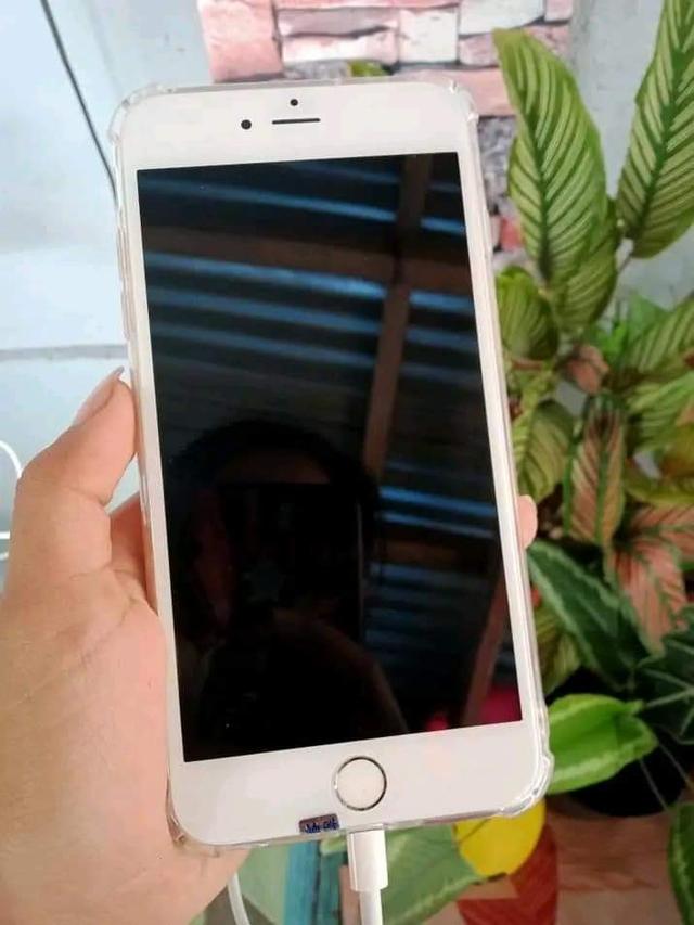 iPhone 6 เครื่องนอก 3