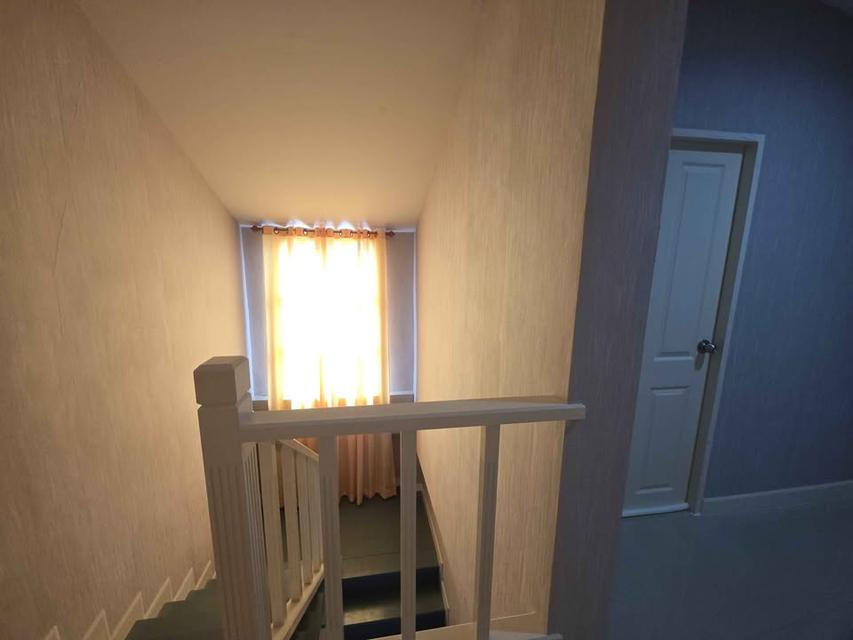 เดอะทาวน์ เพิ่มสิน สายไหม เช่า เลี้ยงสัตว์ได้ 6