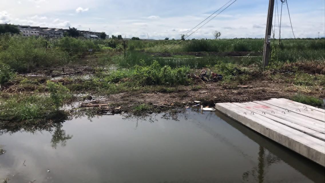 ที่ดินเปล่า เขตสมุทรปราการ 4