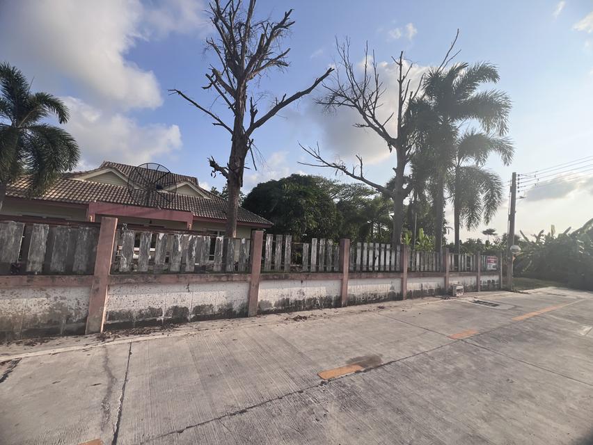 บ้านเดี่ยวพร้อมที่ดิน 2