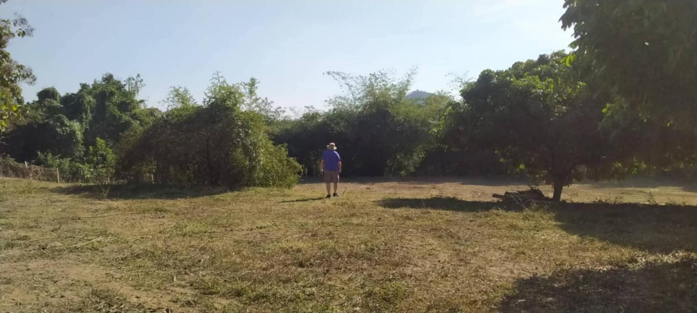 ที่โฉนดติดแม่น้ำวังพื้นที่ 5ไร่2งาน69ตรว.1.9 ล้านบาท (ฟรีโอน)ด้านในบริเวณที่ดินปลูกไม้สัก ลำไย มะม่วงที่ดินมี2ระดับชั้น ชั้นบนจะอยู่ระดับเดียวกับถน 10