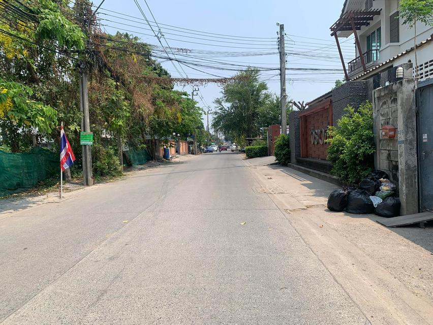 ขายที่ดินเปล่า แปลงใหญ่แปลงสุดท้าย ซอย ติวานนท์ 45 3