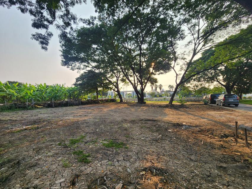 ที่ดินเปล่า 220ตรว. ริมคลองทวีวัฒนา กรุงเทพ 17