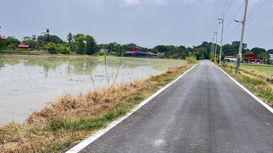 ที่ดินเนื้อที่ 6 ไร่ 184 ตรว. ตำบล คลองหก อำเภอคลองหลวง ปทุมธานี 9