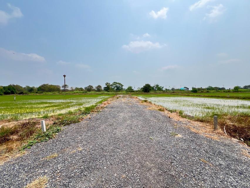 ที่ดินเงินผ่อน มีที่ดินเป็นของตัวเองได้ง่ายขึ้น — คลอง 9 หนองเสือ ปทุมธานี 10
