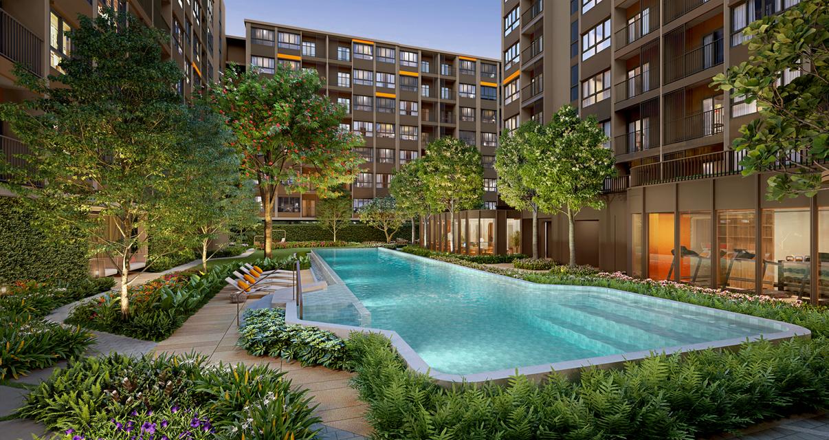 Dcondo calm (ดีคอนโด คาล์ม) คอนโดใหม่✨🏢📍รามคำแหง 40 ฟรี!😱 เครื่องใช้ไฟฟ้าทุกยูนิต เริ่ม 1.69 ล้าน ✍🏻ลงทะเบียนรับส่วนลดสูงสุด 150,000 บาท 3