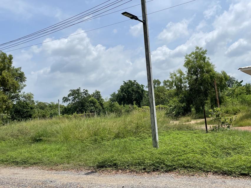 ขายที่ดิน ถมแล้วพร้อมสร้างบ้านได้เลย 1