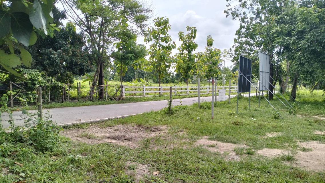 ที่ดินราคาถูกที่สุดในน้ำแพร่ เริ่มต้นเพียง 3,750 บาท/ตรว. เท่านั้น! 5