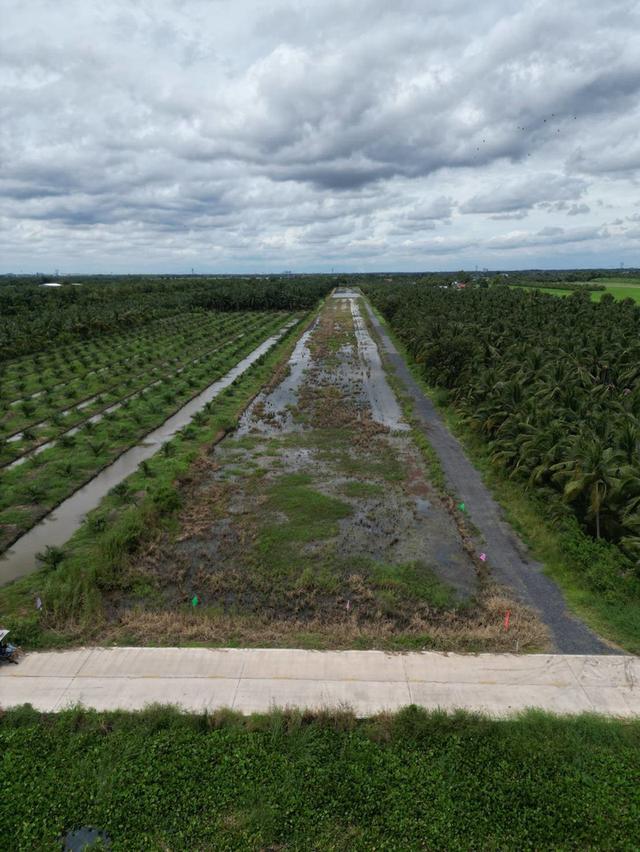 🌳 ขายที่ดินคลอง 8 ปทุมธานี ทำเลน่าสนใจ พื้นที่ครึ่งไร่ ราคาเพียง 680,000 บาท 19