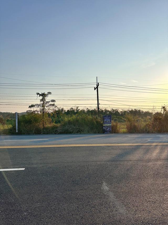 ขายที่ดินริมโขง ทำเลโลจิสติกส์ ติดถนนใหญ่ 1129ต.บ้านแซว อ.เชียงแสน จ.เชียงราย 57150 12