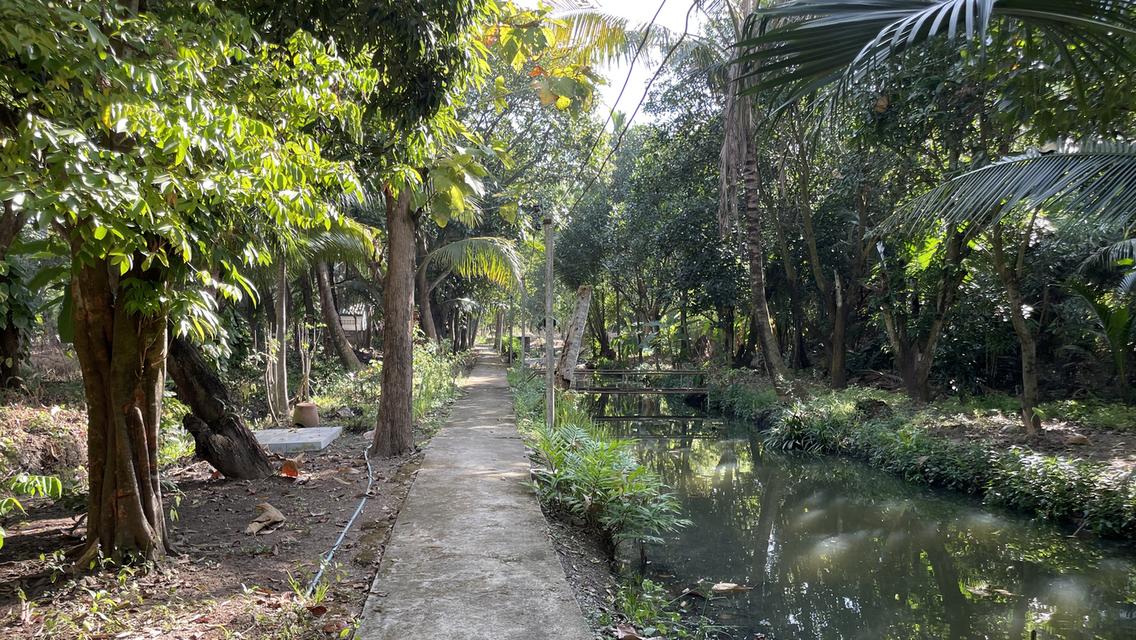 ที่ดินแปลงสวย แปลงใหญ่ ใกล้ที่ว่าการอำเภอหนองเสือ  ติดถนนสองด้าน 6