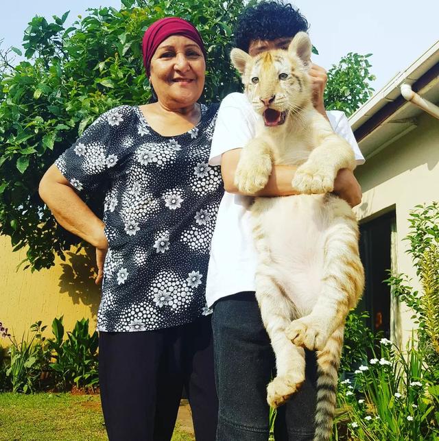 Healthy Tiger Cubs for sale  | WhatsApp me : +66 63 826 3042