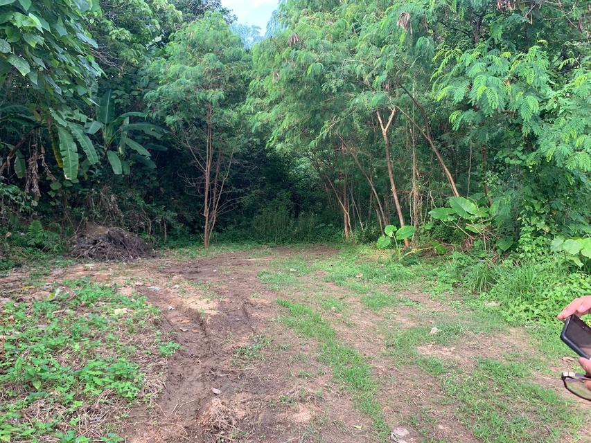 Land, for Sale, Rent, Leasehold in Rawai Beach Phuket 2