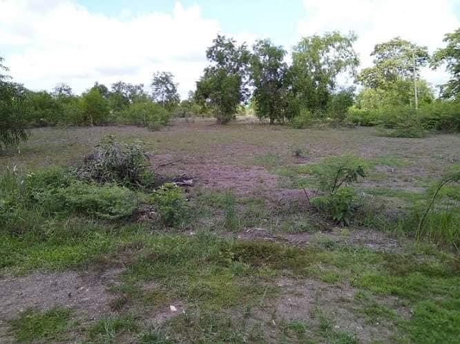 ขายที่ดินโฉนดครุฑแดง 4 ไร่ 3