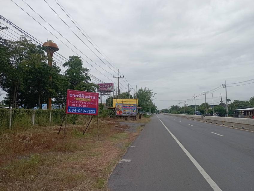 ขายที่ดิน 2 แปลง ด่วน!! 25 ไร่ 3 งาน 75 ตร.ว. และ 30 ไร่ 90 ตร.ว 5