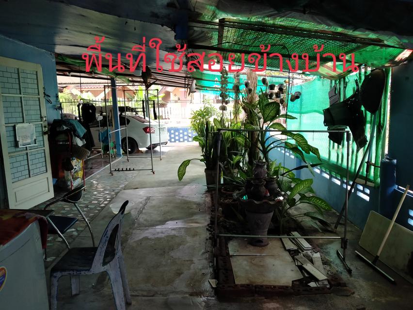 บ้านเดี่ยวชั้นเดียว 75 ตารางวา 3