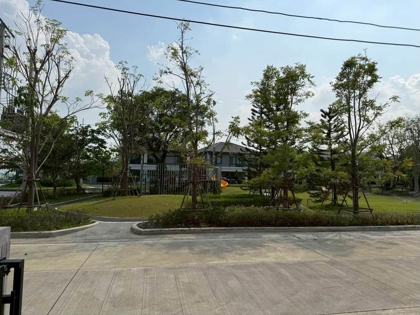 ให้เช่าบ้านเดี่ยว2 ชั้น โครงการบริทาเนีย บางนา–ศรีวารี  บ้านติดสวนโดยตรง (แปลงมุม) 17