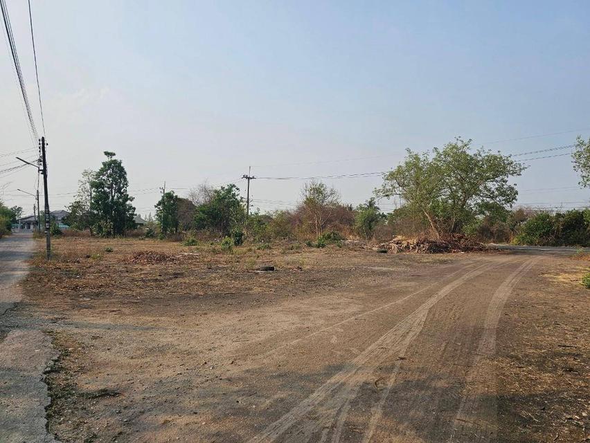 ขายที่ดินแปลงสวย ถูกสุดในย่าน 2 ไร่ 2 งาน 97 ตารางวา อำเภอดอยหล่อ จังหวัดเชียงใหม่ 4