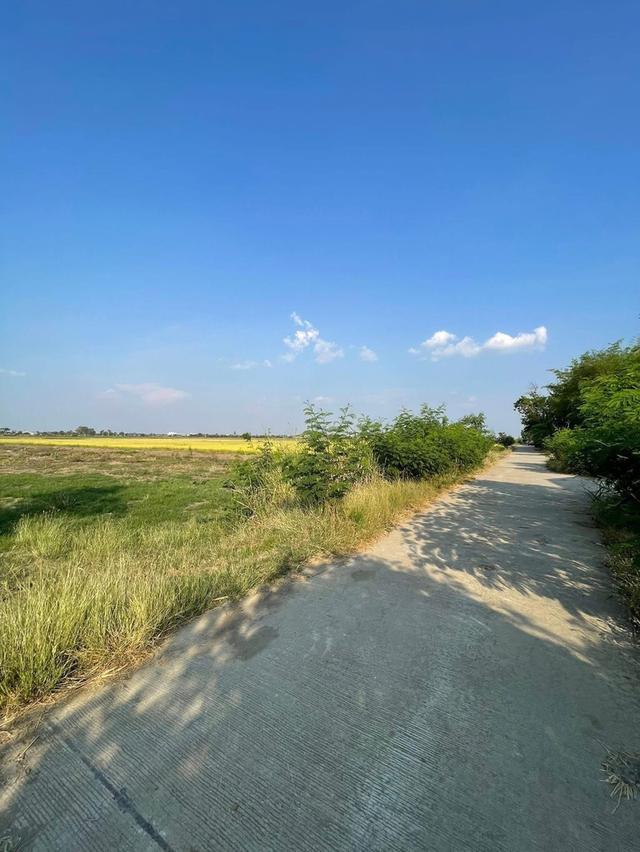 ที่ดินเปล่า ใกล้ตัวเมืองนครสวรรค์ ราคาถูก เจ้าของลงขายเอง น้ำ ไฟ อินเตอร์เน็ต เข้าถึง 4