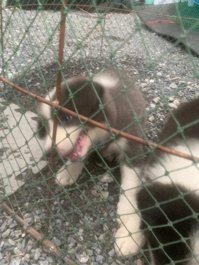 ผมไม่ซนครับพี่ๆ 11