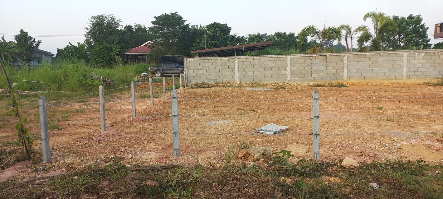 ขายที่ดินติดรันเวย์สนามบินแม่ฟ้าหลวงเชียงราย 5