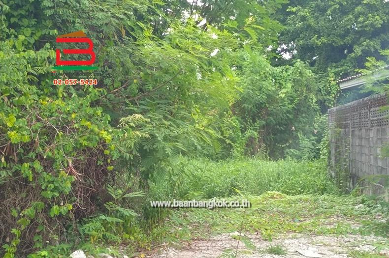 ที่ดินเปล่า พหลโยธิน 35 (ซอยท่านผู้หญิง) เนื้อที่ 200 ตรว. ถนนพหลโยธิน แขวงลาดยาว เขตจตุจักร กรุงเทพมหานคร 6