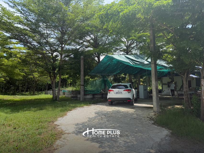 🌍 ขายที่ดินถมแล้ว 2 ไร่ ทำเลศักยภาพ หนองจอก กรุงเทพฯ 3