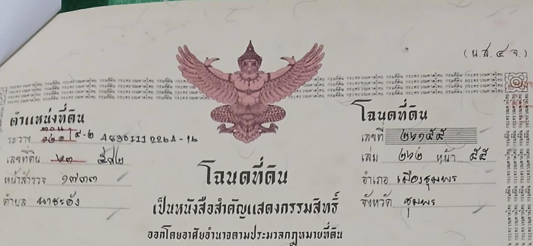 ขายที่ดินเปล่าโฉนด 1 งาน 15.9 ตร.ว. อยู่ในชุมชน ต.นาชะอัง อ.เมืองชุมพร ห่างศาลากลางจังหวัดเพียง 3 กม. ที่เนินปลอดภัยจากน้ำท่วม เจ้าของเองครับ 1