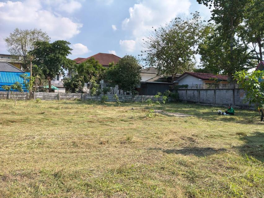 ขายที่ดิน 371 ตร.ว. ติดโรงเรียนสวนกุกลาบนนทบุรี 13