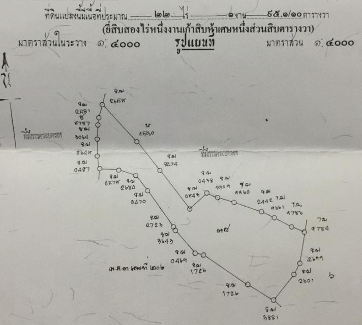 ขายที่ดินพร้อมสวนยางพารา (22 ไร่ 1 งาน 95.1/10 ตารางวา) 1