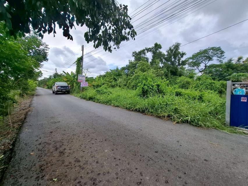 ขายที่ดินคลอง 5 ตะวันออก 7 ถนนเลียบคลอง 5 คลองหลวง ปทุมธานี 2