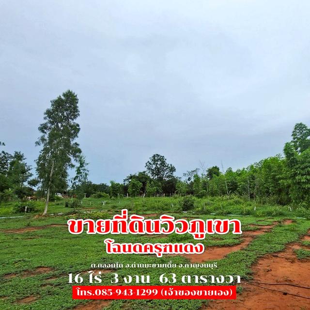 ขายที่ดิน 16 ไร่ 3 งาน 63 ตารางวา ติดถนนลาดยาง วิวภูเขา จ.กาญจนบุรี 30,000,000 บาท 7