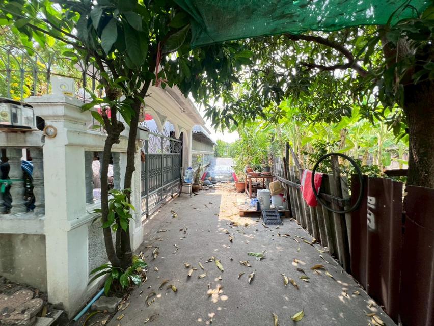 ขาย ที่ดิน เปล่าว 68 ตรว ถมแล้ว ถนนวัชรพล ซอยแม่จอน  วัดศิริพงษ์ธรรมนิมิต, กรุงเทพมหานคร 6