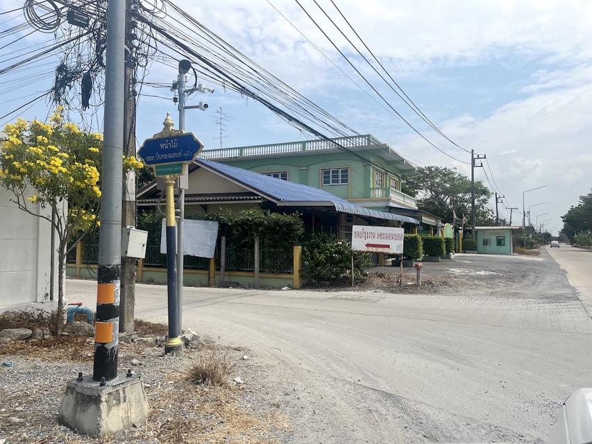 ขายที่ดิน 200 ตารางวา ซอยโรงงานแคนนอนบอล แยกนพวงศ์ ลาดหลุมแก้ว 081 336 9775 1