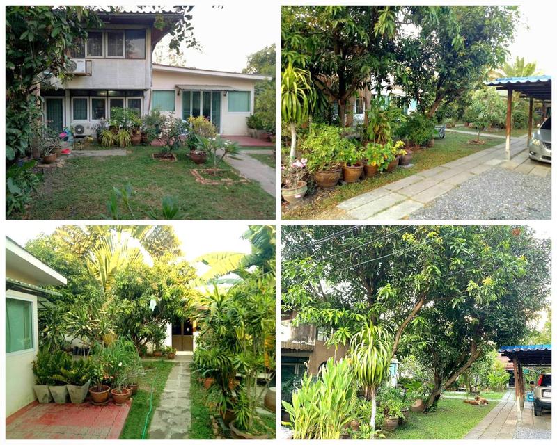 ขายที่ดิน เนื้อที่ 402 ตารางวา ซ. ติวานนท์48 แนวรถไฟฟ้าสายสีชมพู 3