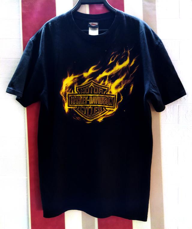 เสื้อยืด ฮาร์เลย์ เดวิดสัน Harley Davidson ตอกปี2010 size L สภาพ8/10 รูปที่ 2