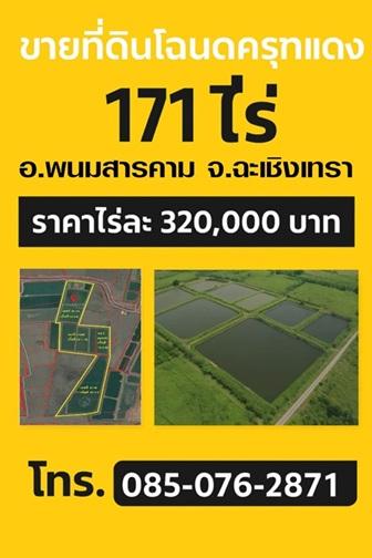 ขายที่ดินโฉนดครุฑแดง 171 ไร่ – พนมสารคาม ฉะเชิงเทรา 1
